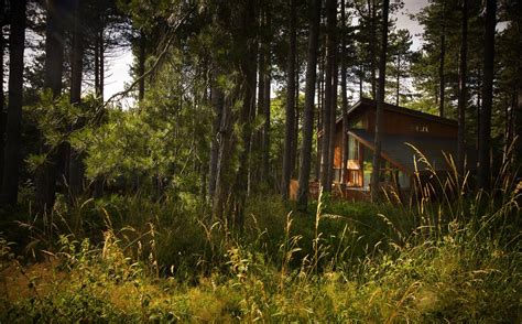 Woodland Cabins & Lodges - best UK cabins in the woods - Cool Places to ...