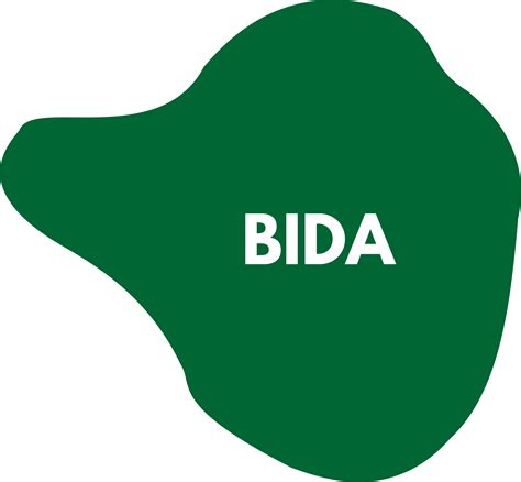 Article on Bida Local Government - myLGA