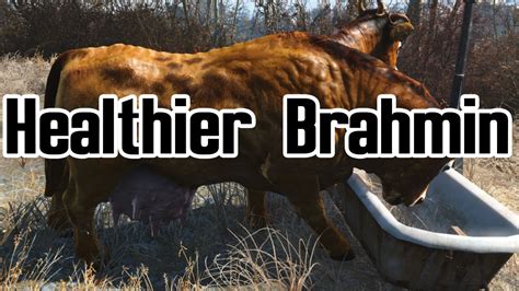 Fallout 4 Brahmin Retexture Mod Sale Online | head.hesge.ch