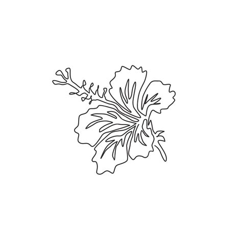 Premium Vector One Continuous Line Drawing Of Beauty Fresh Hibiscus