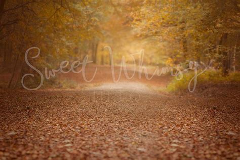 3 Dreamy Fall Forest Digital Backdrops Photoshop Digital Backgrounds