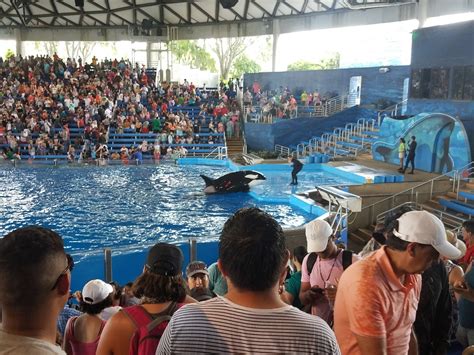 Discount SeaWorld San Antonio Tickets | Tripster