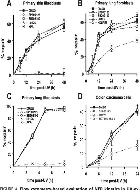 Figure 1 From A Sensitive Flow Cytometry Based Nucleotide Excision