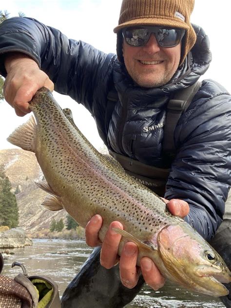 Fly Fishing for Rainbow Trout - A Tactical How to Guide | Sipping Mayflies