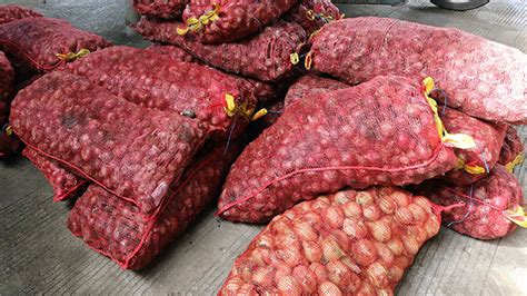 Government sets imported onion price at P125/kg • The Market Monitor