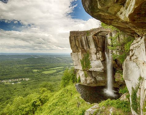 Se Permiten Perros En Lookout Mountain Tn