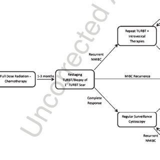 Pictographic representation of split-course trimodal therapy regimen ...