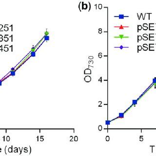 Growth Curves Of Synechocystis Wild Type Wt And Mutants Harboring The