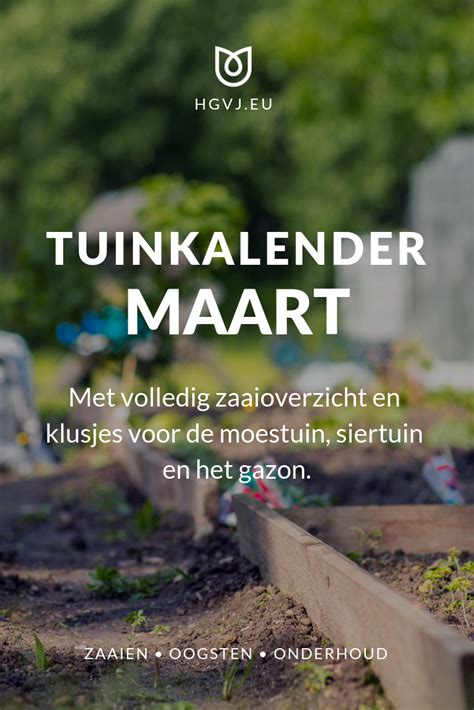 De Tuinkalender Maart Geeft Je Inzicht Voor Alle Tuinklussen Voor