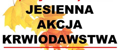 Jesienna Akcja Krwiodawstwa W Sko Yszynie Powiat Jasielski Portal