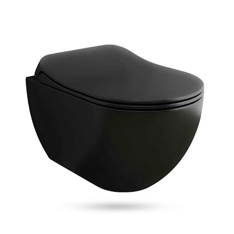 Buy Alpenberger Black WC Matt - Rimless Toilet with Toilet Seat in Matt