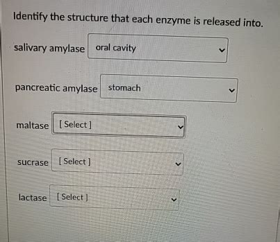 Solved Identify The Structure That Each Enzyme Is Released Chegg