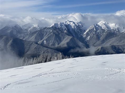 Hurricane Ridge Winter Shuttle | Olympic Hiking Co.