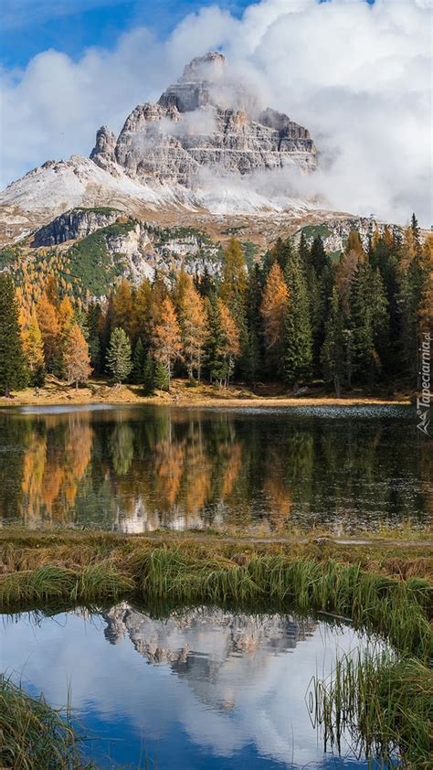 Góry i drzewa nad jeziorem Antorno Lake we Włoszech Tapeta na telefon