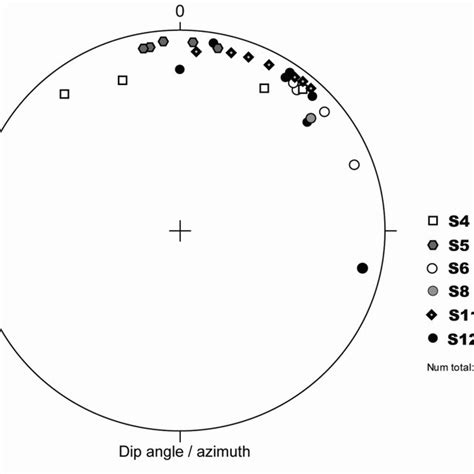 3. Equal‐area stereographic projection showing the dip azimuth and dip ...