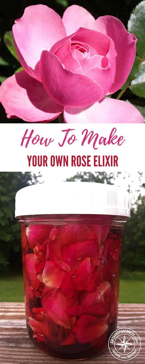 How To Make Your Own Rose Elixir