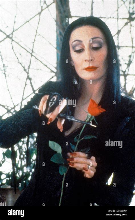 THE ADDAMS FAMILY ANGELICA HOUSTON as Morticia Addams Date: 1991 Stock ...