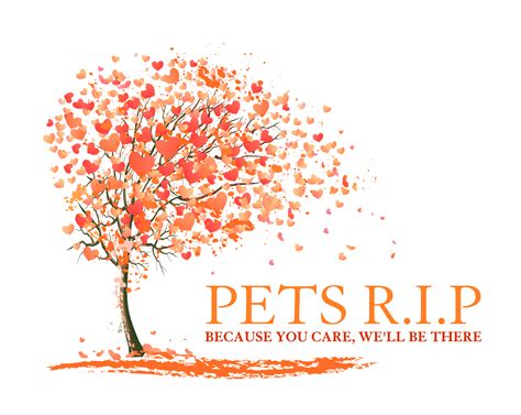 Vet Pay - Pets