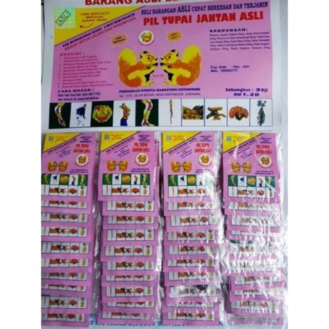 Jual Pil Tupai Jantan Asli Original Shopee Indonesia