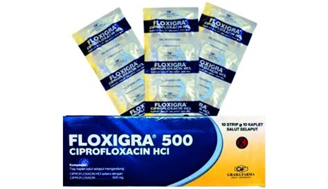 Floxigra Mg Tablet Manfaat Harga Efek Samping Dosis