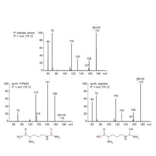 The Ms Ms Spectrum Of The Precursor Ion M Z M H Found In The