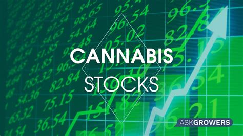 Cannabis Stocks: Things to Know Before Investing | AskGrowers