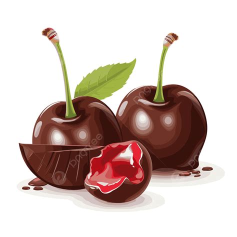 Chocolate Covered Cherries Clipart Chocolate Cherry Isolated On White Background With Pieces