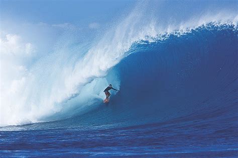 surfing  fiji fiji shores  marinas