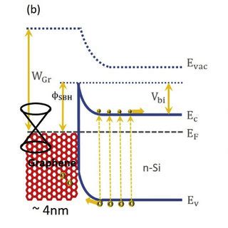 A Device Schematics To Illustrate The Process Of Directly Grown