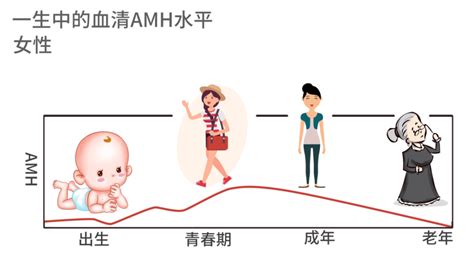 Amh值在女性生育中起到什么作用？科普健康160资讯网