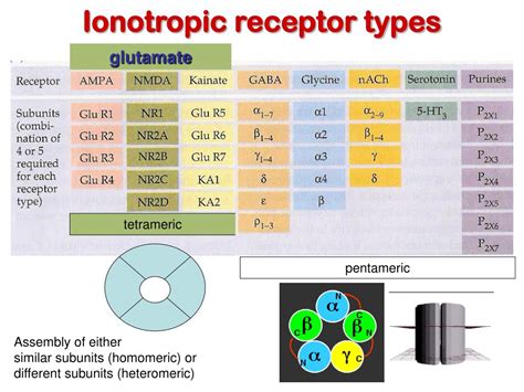 PPT - Receptors and transduction 1 PowerPoint Presentation, free ...