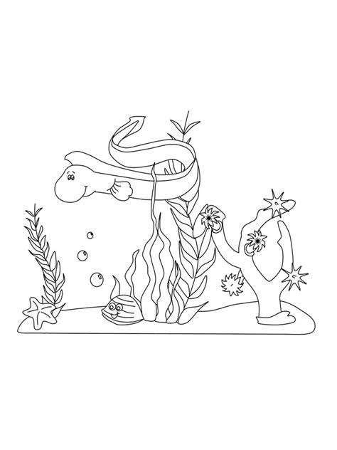 Seaweed coloring pages