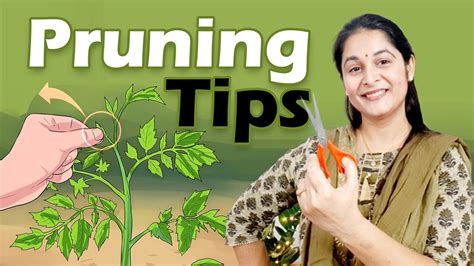 pruning  plants    voice  plant