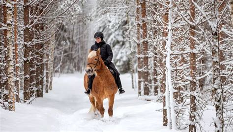 How To Ride Safely In The Snow Horse Factbook