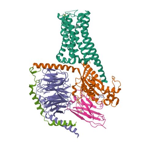 Rcsb Pdb 7f23 Cryo Em Structure Of The Gtp Bound Dopamine Receptor 1