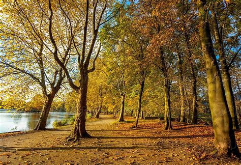 "Colourful Park In Autumn" by Stocksy Contributor "Mosuno" - Stocksy