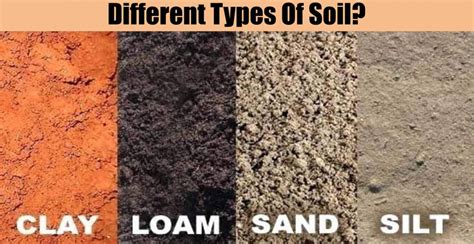 Types Of Soils Emom Kids Virtual Mother