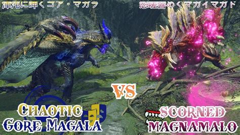 Chaotic Gore Magala VS Scorned Magnamalo Turf War 渾沌に呻くゴアマガラ vs 怨嗟響