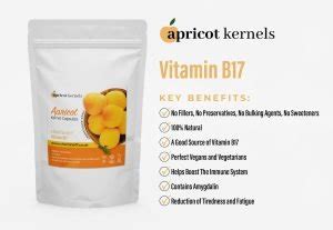 Vitamin B Uk Bitter Apricot Kernel Seeds Amygdalin Laetrile