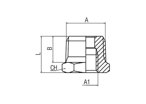 Reducing Bush M Bspt Orseal