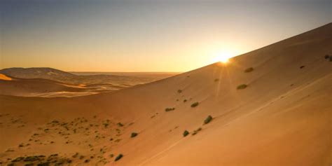 Sunrise Camel Trek in Merzouga