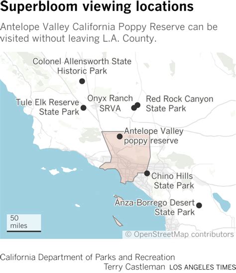 The Superbloom Has Begun See Breathtaking Photos And A Map Los