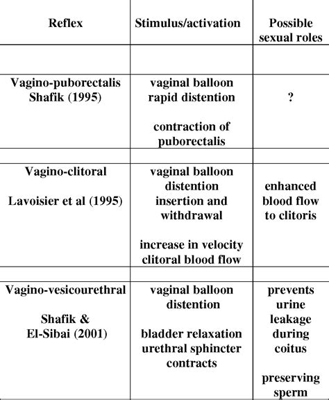 Cavernous Nerve Plexus Semantic Scholar