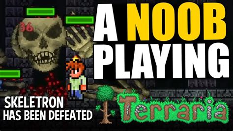 Noob To Pro The Best Way To Defeat Skeletron In Terraria Youtube