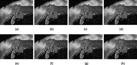 Novel Approaches For Regional Multifocus Image Fusion Intechopen