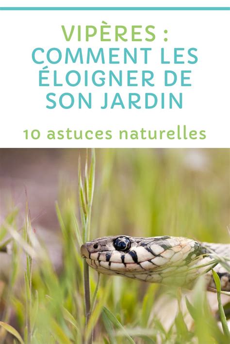 Comment Loigner Les Vip Res De Son Jardin Astuce Naturelle Astuces