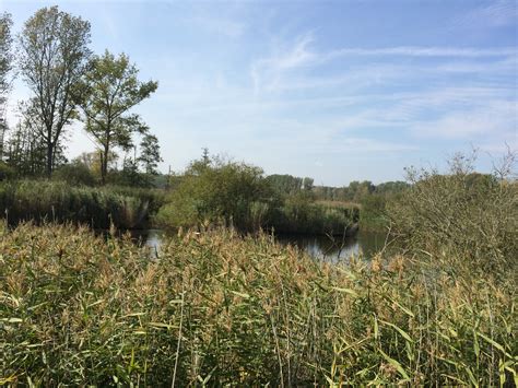 schönsten Radtouren in Grabau Outdooractive