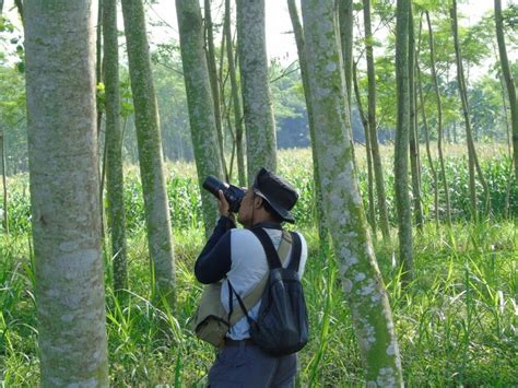 Inventarisasi Flora Fauna Di Sumber MataAir Sumber Kembar UP Paiton