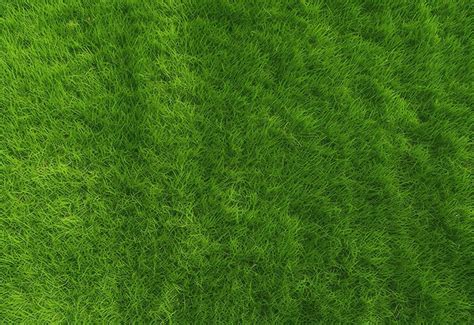 Premium Photo Lush Green Grass Texture Background