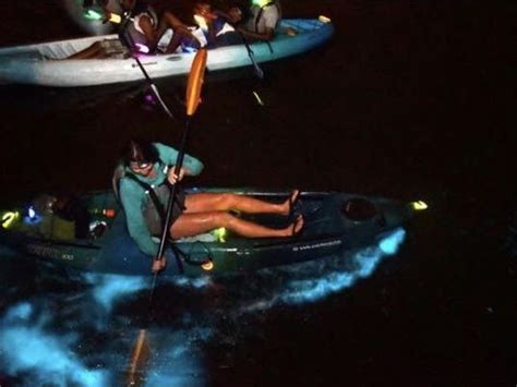 Bioluminescent Kayak Tours Cocoa Beach Kayaking Beach Kayak